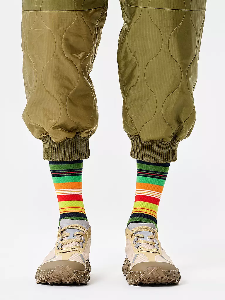 HAPPY SOCKS | Calzini da uomo STRIPE 41-46 navy | Multicolore