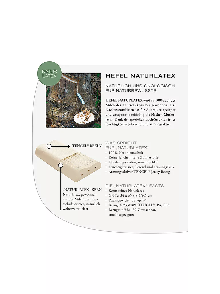 HEFEL | Cuscino di supporto cervicale "Lattice naturale" 34x65cm | Bianco