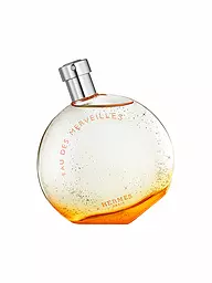 HERMÈS | Eau des Merveilles Eau de Toilette 100ml | Senza colore