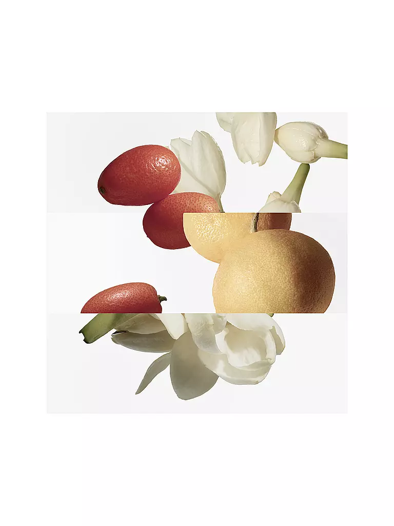 HERMÈS | Le Jardin de Monsieur Li Eau de Toilette 50ml |