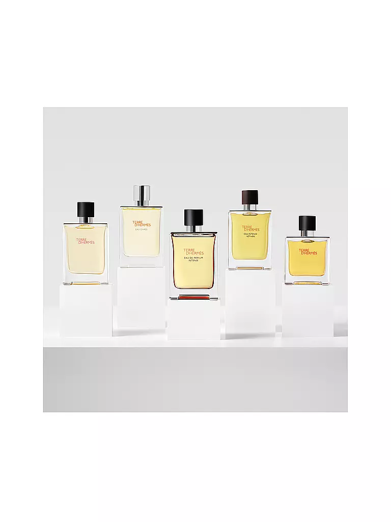 HERMÈS | Terre d'Hermès Eau de Parfum Intense Ricaricabile 100ml |