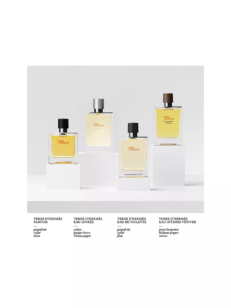 HERMÈS | Terre d'Hermès Eau Givrée Eau de Parfum Ricarica 200ml |