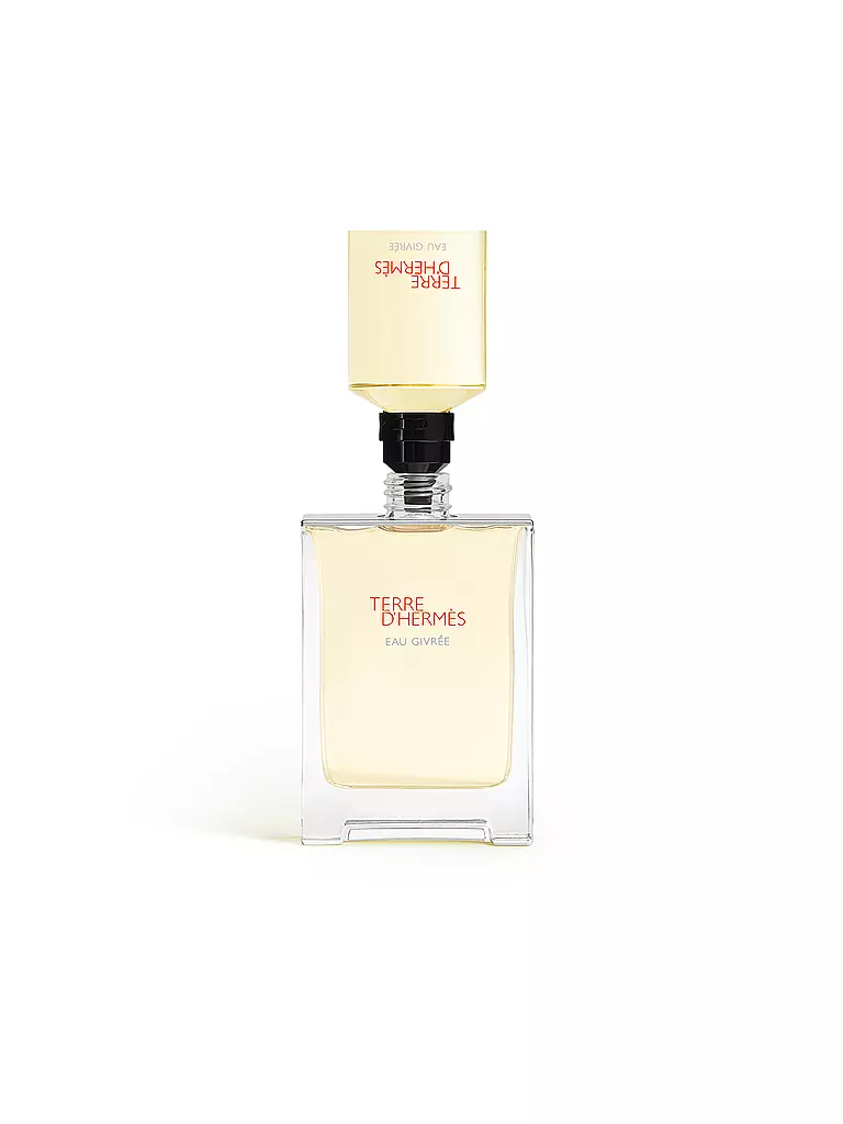 HERMÈS | Terre d'Hermès Eau Givrée Eau de Parfum Spray Ricaricabile 50ml | 