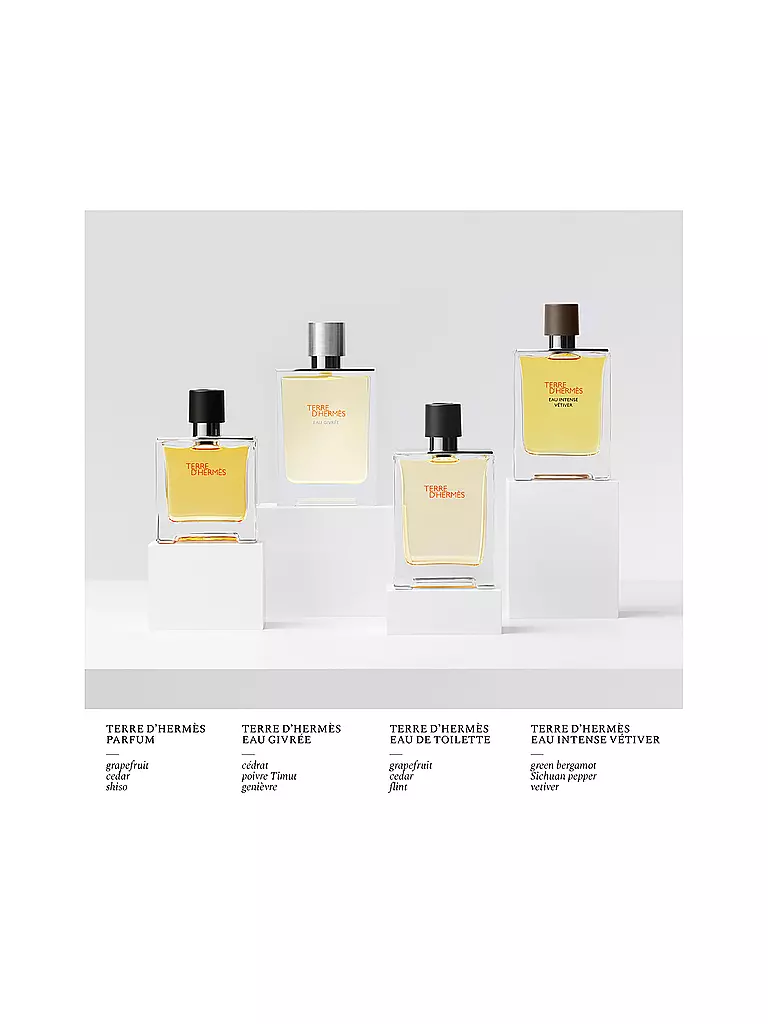 HERMÈS | Terre d'Hermès Eau Givrée Eau de Parfum Spray Ricaricabile 50ml | 