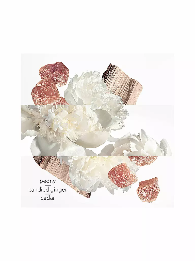 HERMÈS | Twilly Eau Ginger Eau de Parfum 50ml | 