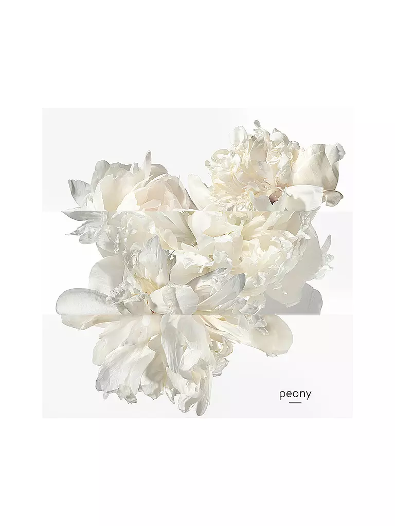 HERMÈS | Twilly Eau Ginger Eau de Parfum 50ml | 