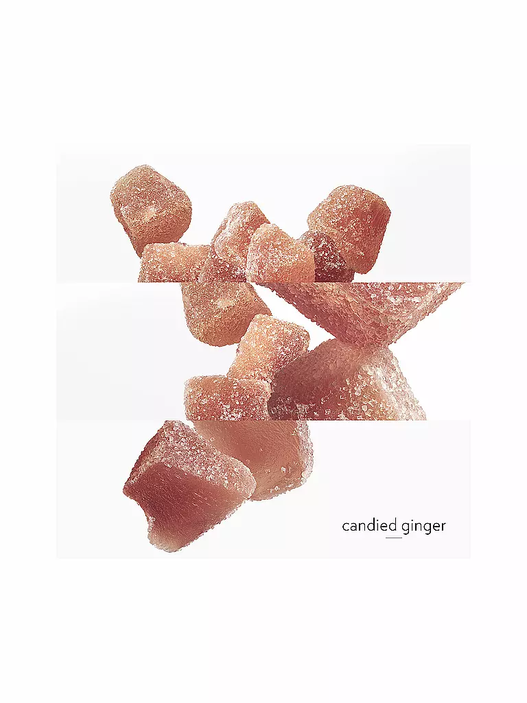 HERMÈS | Twilly Eau Ginger Eau de Parfum 50ml | 