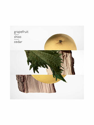 HERMÈS | Terre d'Hermès Parfum 75ml