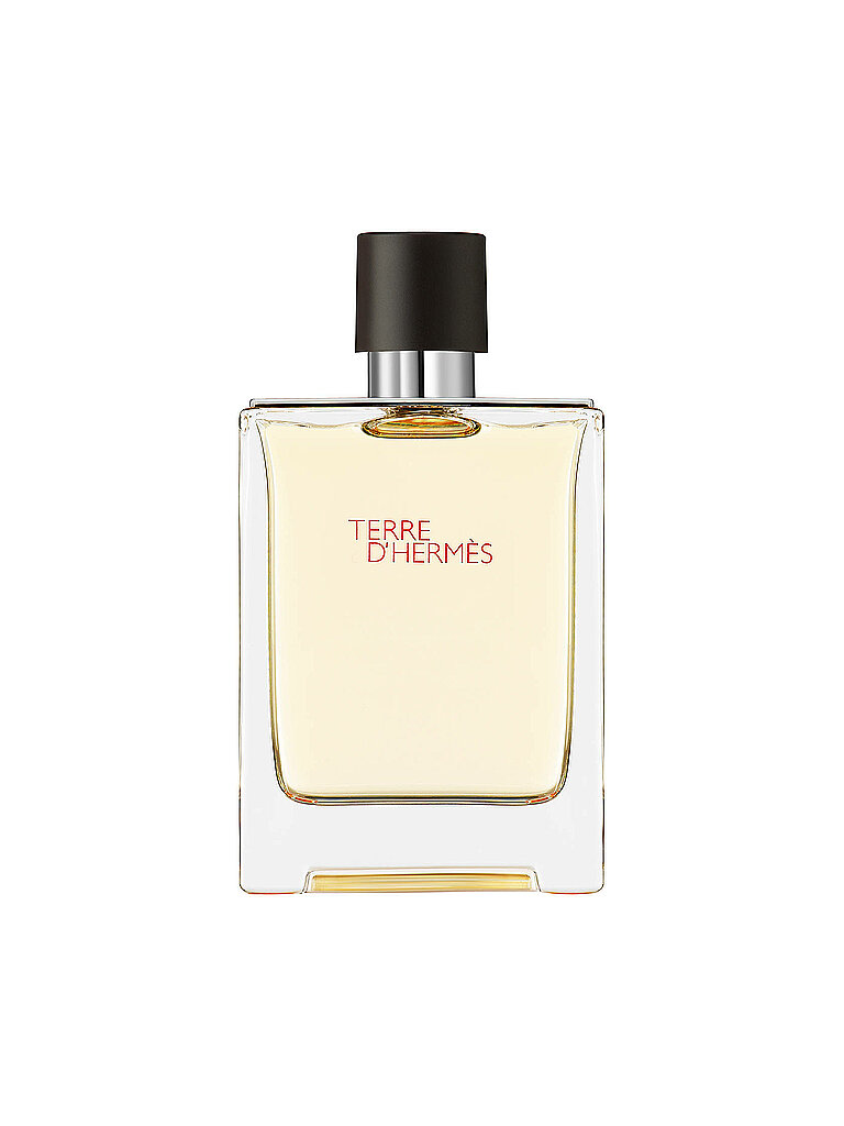 HERM S Terre d'Herm s Eau de Toilette 100ml