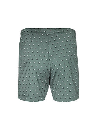 ISA | Boxer verde