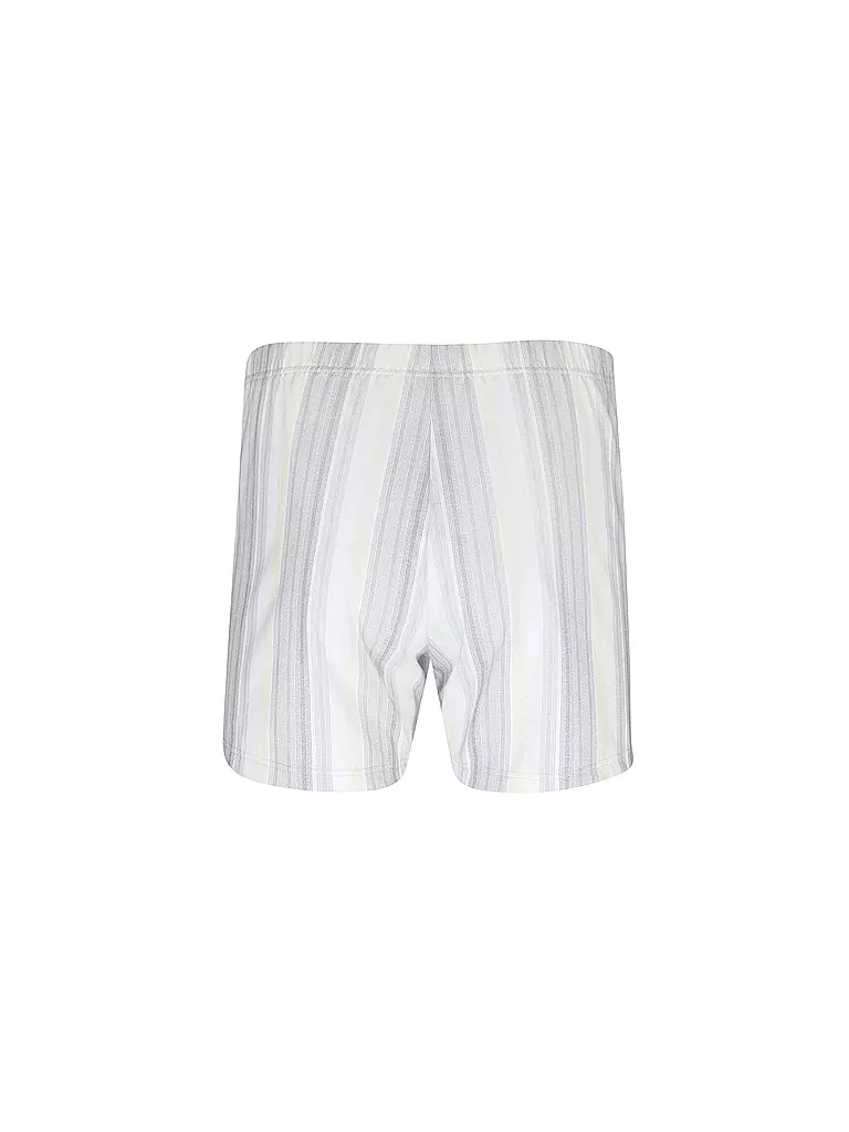 ISA | Boxer giallo | Grigio chiaro