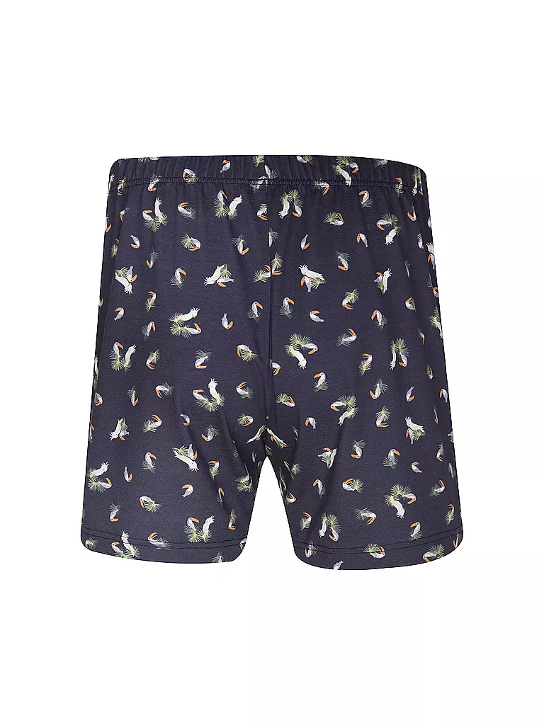 ISA | Boxer | Blu