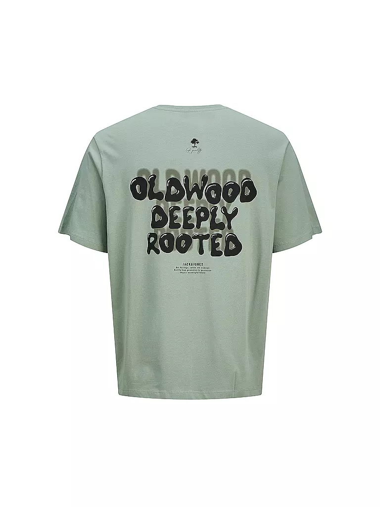 JACK & JONES | T-shirt da ragazzo JJWOBLY | Verde chiaro