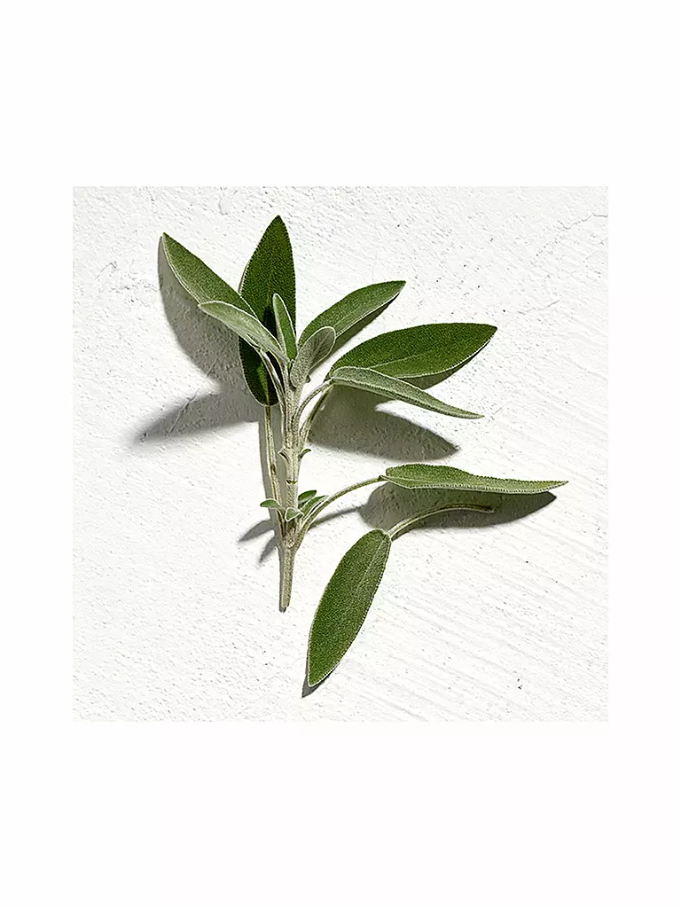 JIL SANDER | Sun Man Parfum Natural Spray 40ml | Senza colore