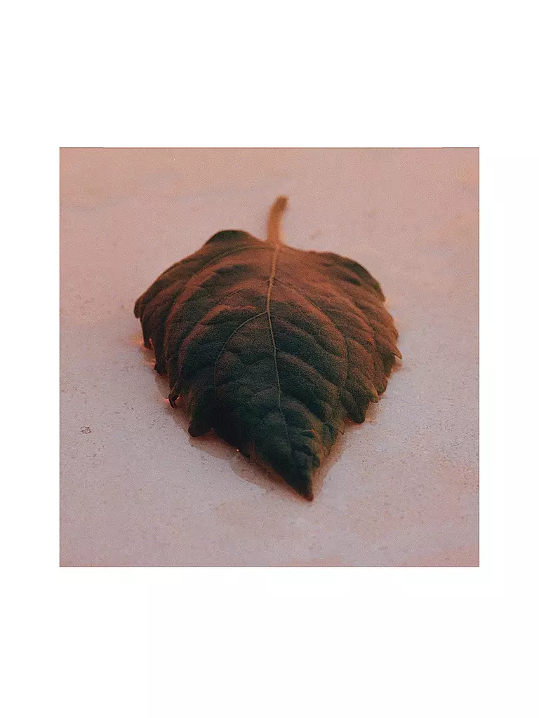 JIL SANDER | Sunset Eau de Parfum Intense 75ml | Senza colore