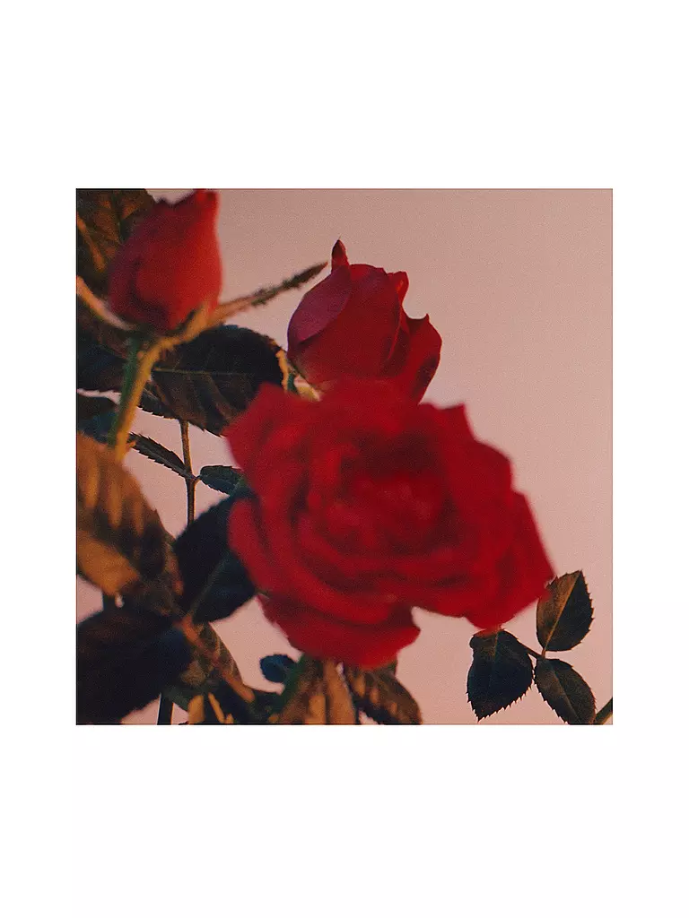 JIL SANDER | Sunset Eau de Parfum Intense 75ml | Senza colore