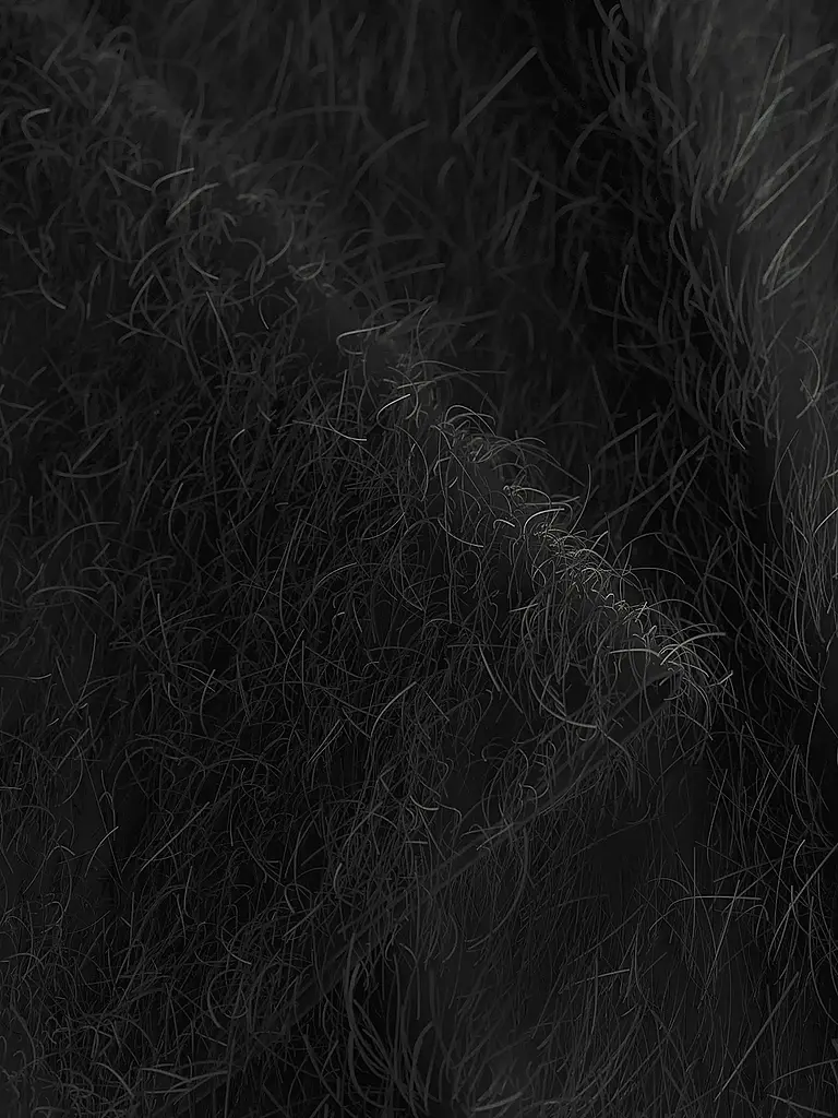 JOOP | Nome prodotto: Blusenshirt | Nero