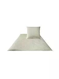 JOOP | Satin Bettwäsche Cornflower 70x90cm / 140x220cm Natur | Crema