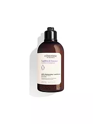 L'OCCITANE | Gentle & Balance Conditioner 250ml | Senza colore