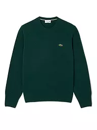 LACOSTE | Pullover | Verde scuro