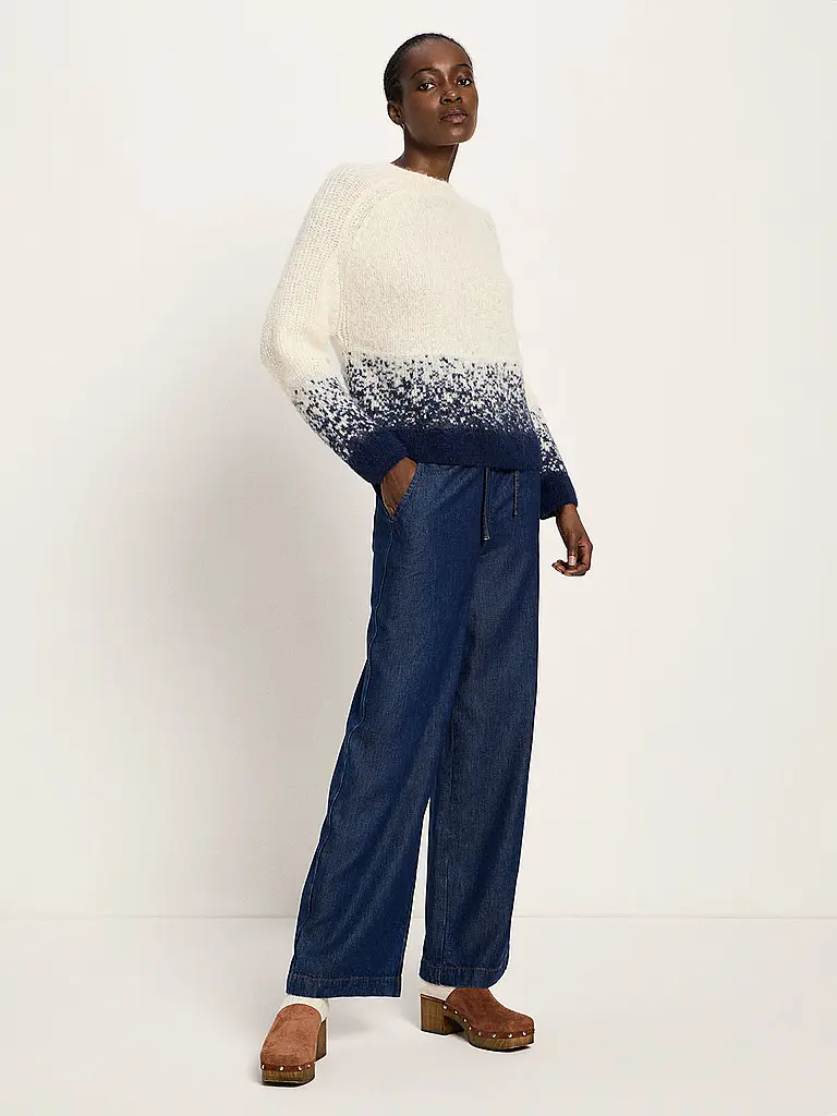 LANIUS | Pullover | Blu scuro