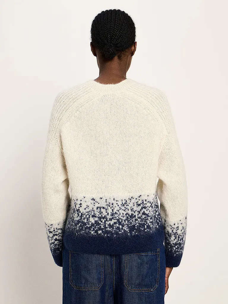 LANIUS | Pullover | Blu scuro