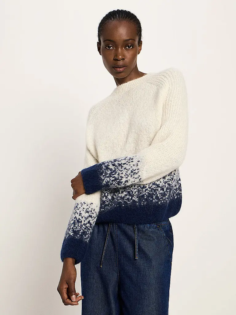 LANIUS | Pullover | Blu scuro
