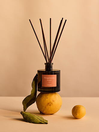 LOOOPS | Diffusore con bastoncini 100ml Morgensonne