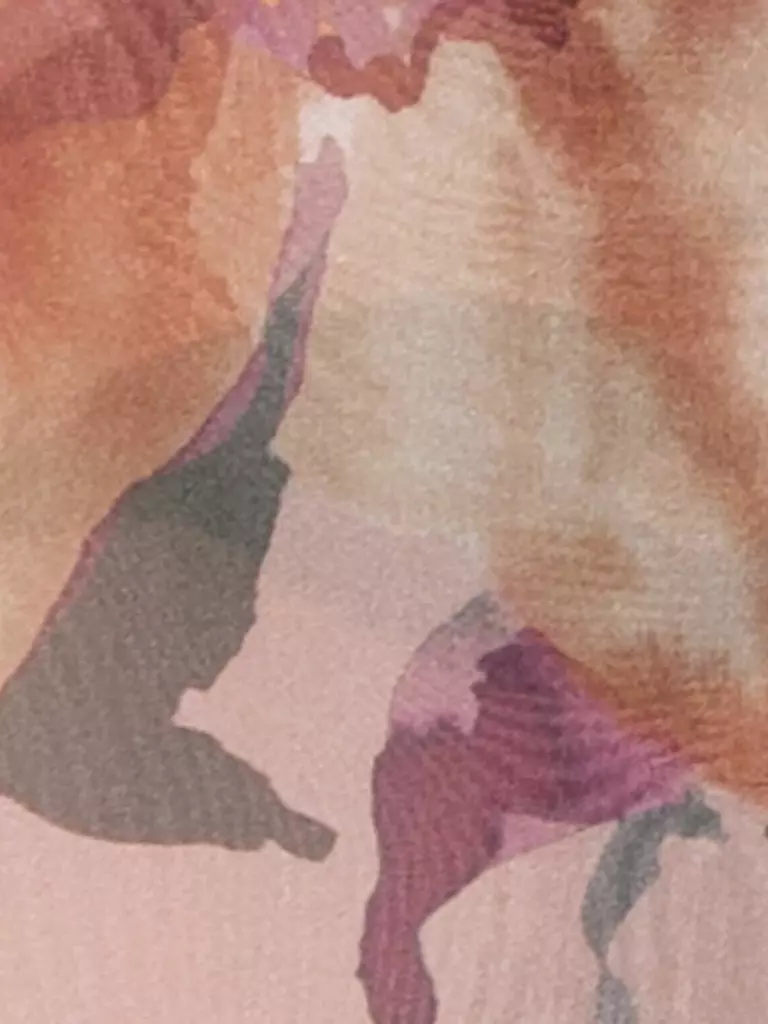 LUISA CERANO | Blusa | Rosa