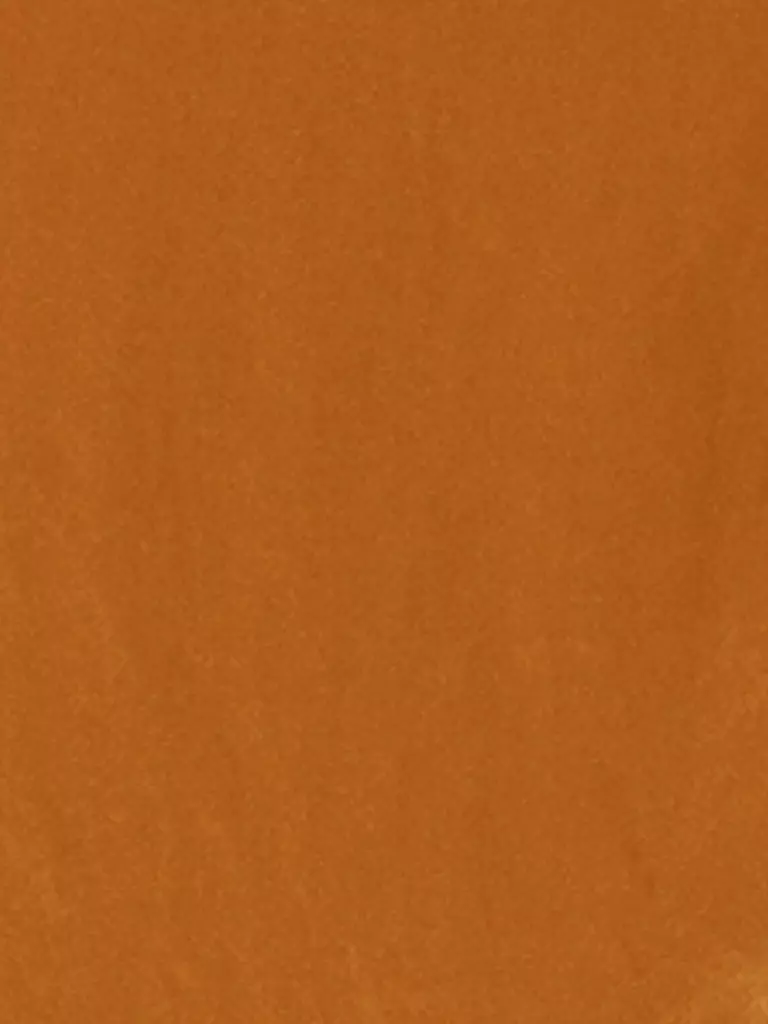 LUISA CERANO | Bluse  | Arancione