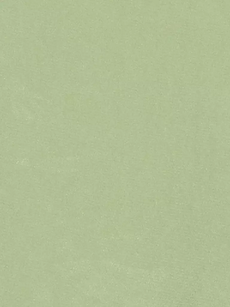 LUISA CERANO | Bluse | Verde chiaro