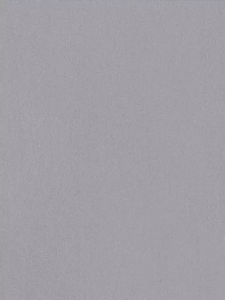 LUISA CERANO | Hemdbluse | Grigio