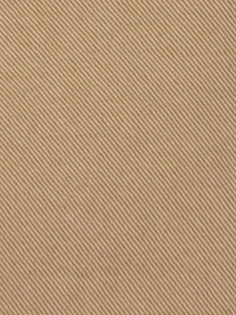 LUISA CERANO | Jeans Balloon Fit | Cammello