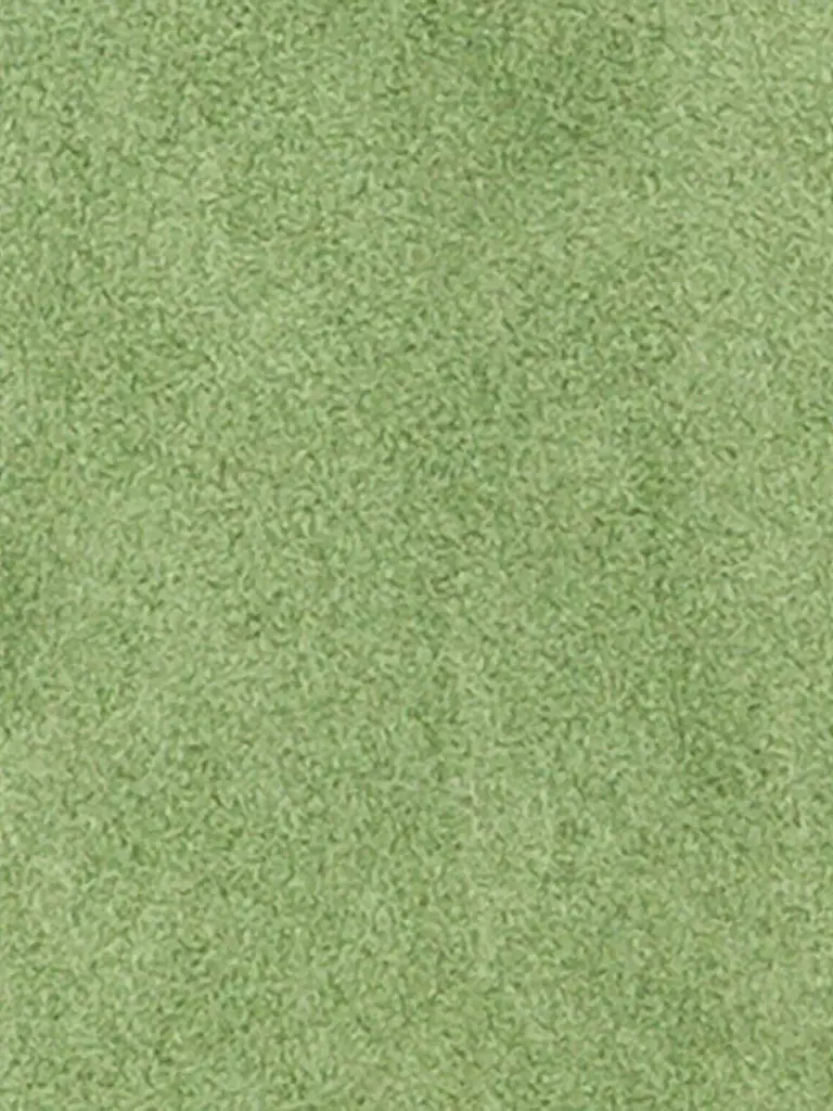 LUISA CERANO | Lederjacke | Verde chiaro