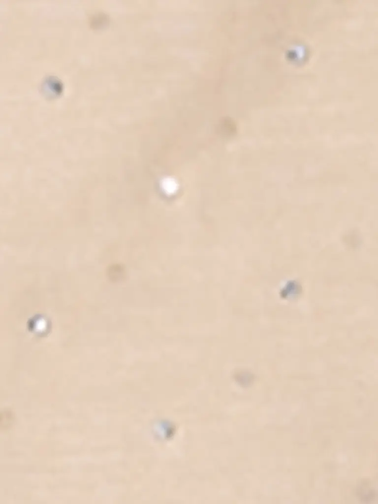 LUISA CERANO | Midi skirt | Cammello