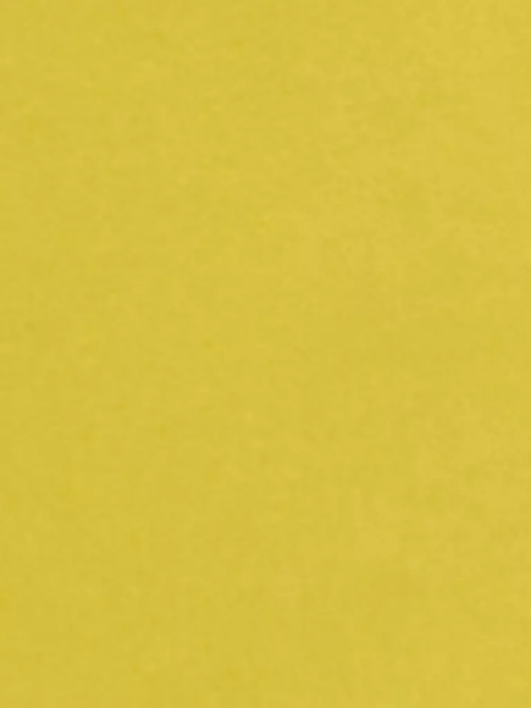 LUISA CERANO | Shorts | Giallo