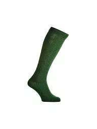LUISE STEINER | Calze al ginocchio tradizionali grigio chiaro | Verde