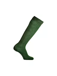 LUISE STEINER | Kniestrümpfe (lunghi) verdi | Verde