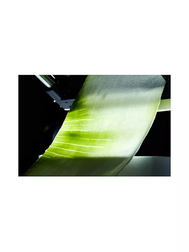 LURCH | Tagliaverdure a nastro Catto grigio ferro/bianco | Bianco