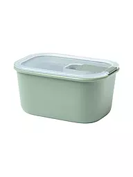 MEPAL | Contenitore per alimenti EASYCLIP 0,45 l Salvia nordica | Verde