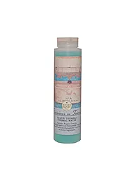 NESTI DANTE | Gel Doccia Acque Termali 300ml | Senza colore