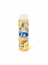 NESTI DANTE | Gel Doccia Capri 300ml | Senza colore