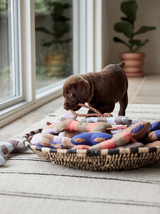 OYOY | Hundespielzeug ASHI Medium Koralle/Braun