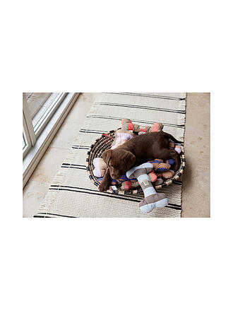 OYOY | Giocattolo per cani ASHI Small Azzurro/Marrone chiaro