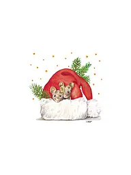 PAPER-PRODUCTS | Weihnachts-Servietten 33x33cm  | Bianco