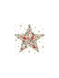 PAPER-PRODUCTS | Weihnachts-Servietten 33x33cm  | Bianco