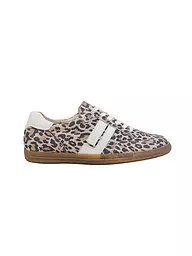 PAUL GREEN | Sneaker | Marrone
