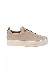 PAUL GREEN | Sneaker | Marrone