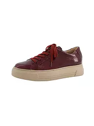 PAUL GREEN | Sneaker | Rosso scuro