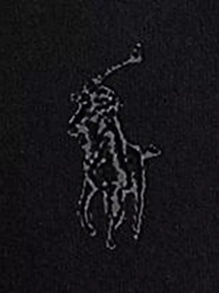 POLO RALPH LAUREN | Pullover Troyer Regular Fit | 